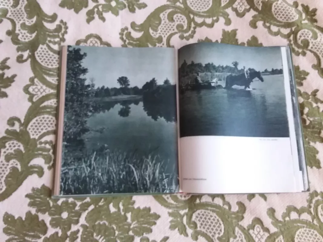 Nemuno vingiuose - A. Matutis, knyga 5