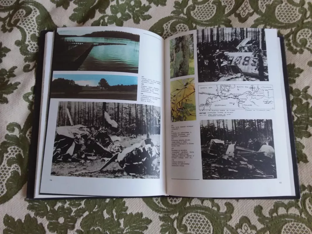 Darius ir Girėnas - Nijolė Dariūtė-Maštarienė, knyga 3