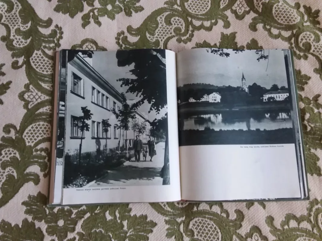 Nemuno vingiuose - A. Matutis, knyga 6