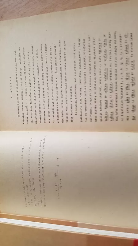 Lietuvių bendrinės kalbos kirčiavimo pagrindai - Petronėlė Bernadišienė, knyga 4