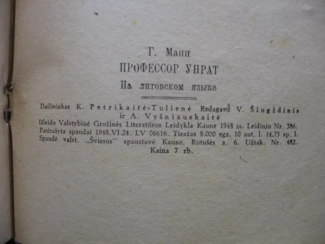 Profesorius Unratas - Mann Heinrich, knyga 4