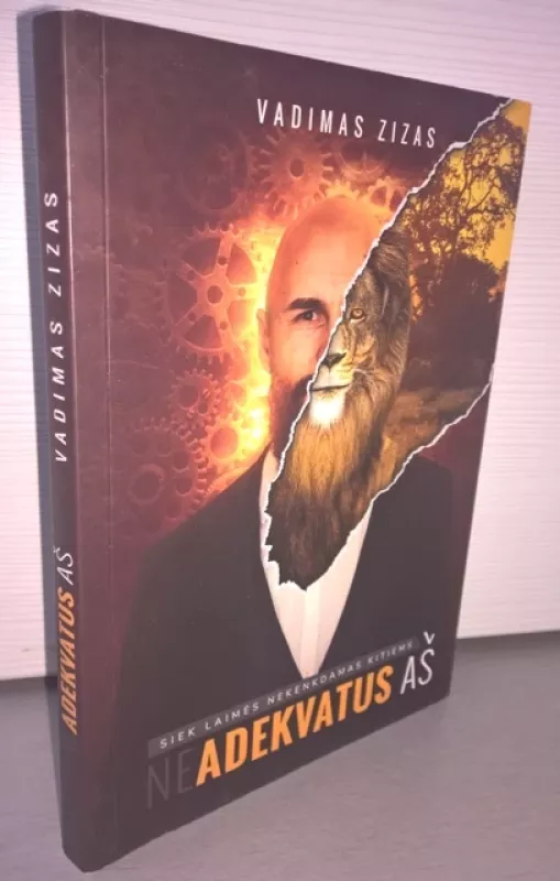 Neadekvatus aš - Vadimas Zizas, knyga 2