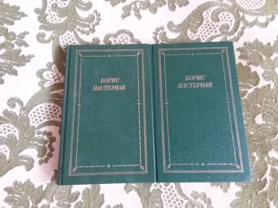 Стихотворения и поэмы : в двух томах - Борис Пастернак, knyga 2