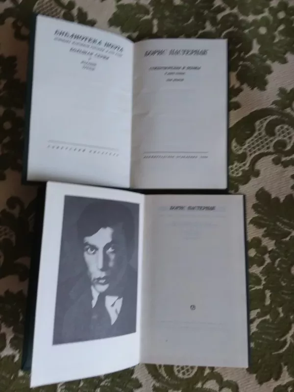 Стихотворения и поэмы : в двух томах - Борис Пастернак, knyga 3