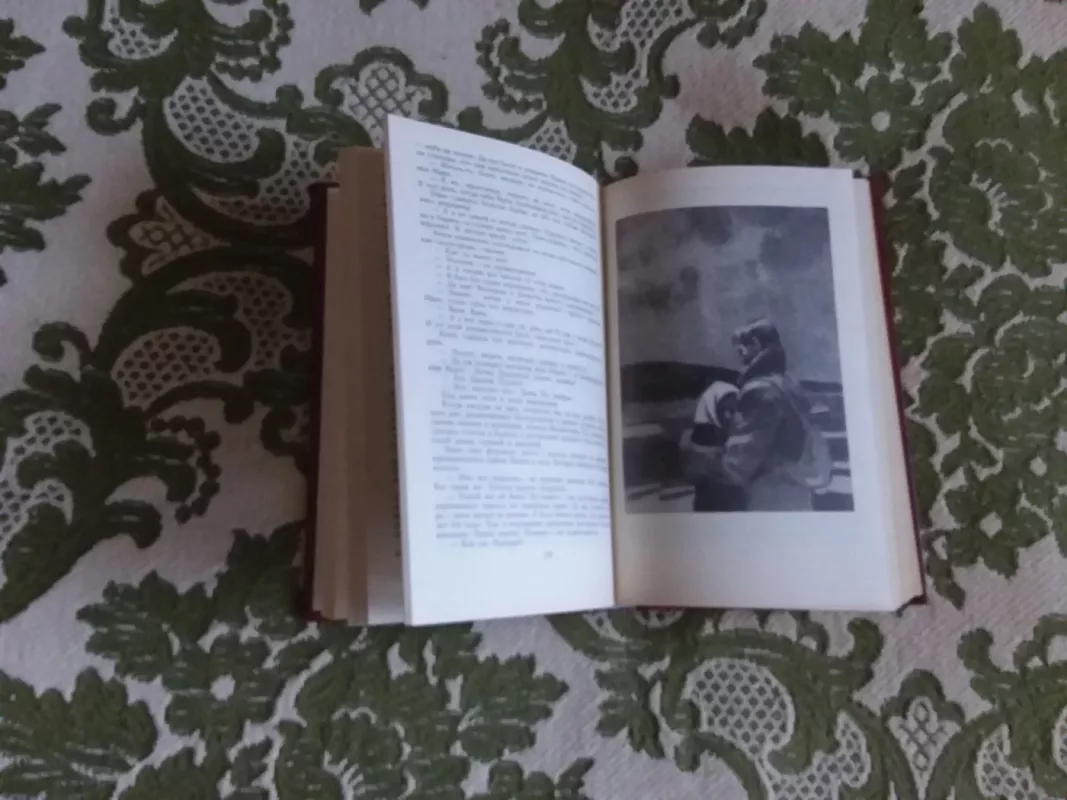 Вечный зов - Анатолий Иванов, knyga 3