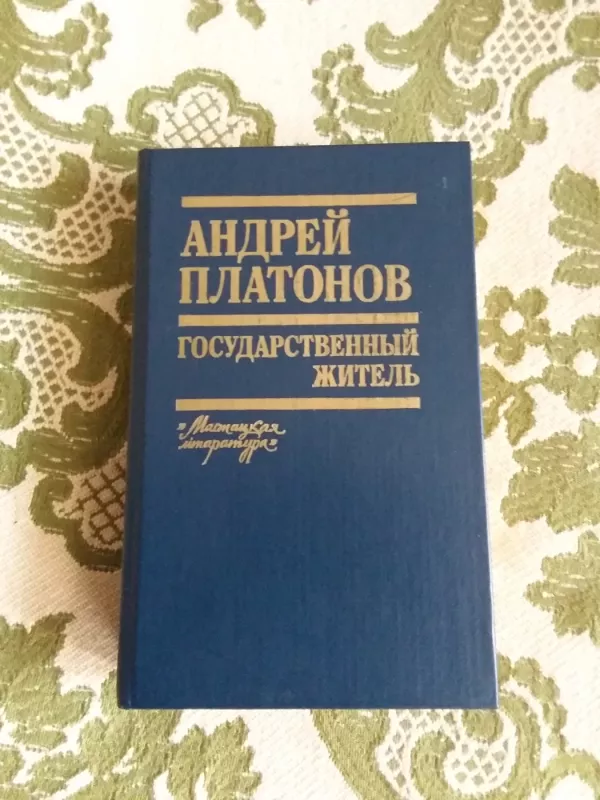 Государственный житель - А.П. Платонов, knyga