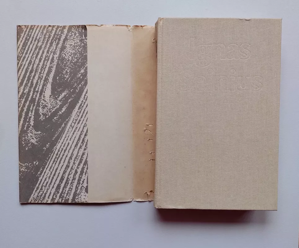 Rinktiniai raštai (2 tomas) - Ignas Šeinius, knyga 4