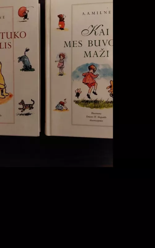 Kai mes buvome maži - A. A. Milne, knyga 2
