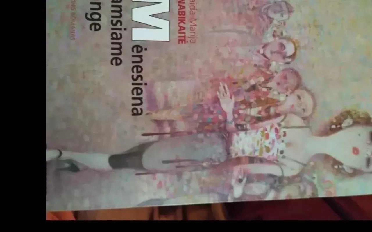 Mėnesiena tamsiame lange: istorinis romanas - Vaida Marija Knabikaitė, knyga 3