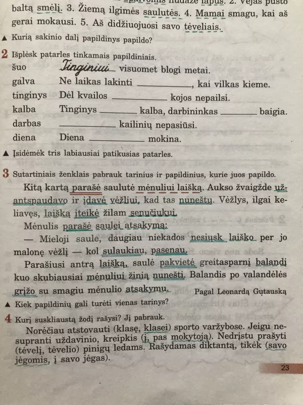 Lietuvių kalbos pratybų sąsiuvinis V klasės mok. 1 - Vilija Salienė, knyga 3