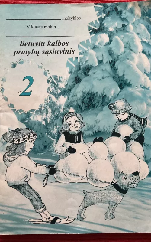 Lietuvių kalbos pratybų sąsiuvinis 2. 5 klasei - Vilija Salienė, knyga