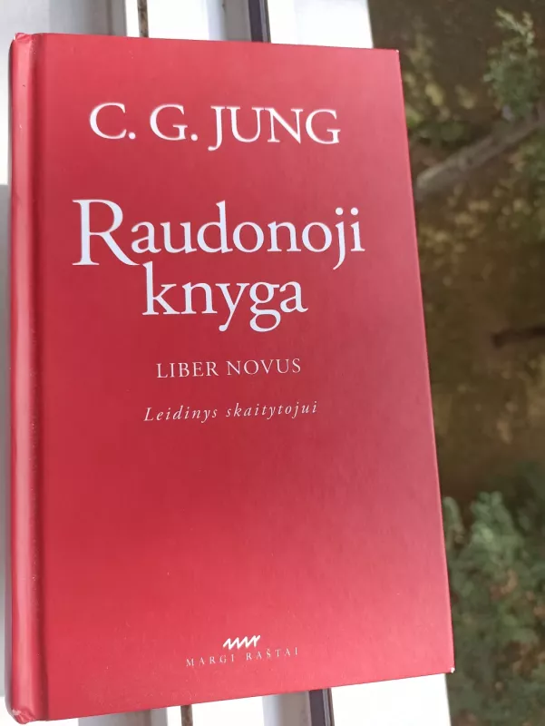 Raudonoji knyga. Liber novus: leidinys skaitytojui - Carl Gustav Jung, knyga 2