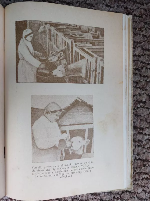 Kaip buvo sukurta rekordinė Karavajevo banda - S. I. Šteimanas, knyga 3