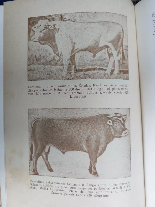 Kaip buvo sukurta rekordinė Karavajevo banda - S. I. Šteimanas, knyga 4