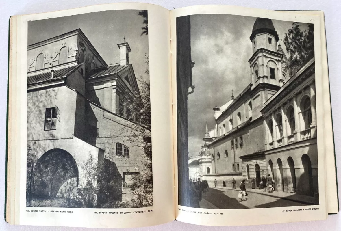 VILNIUS. ARCHITEKTŪRA IKI XX AMŽIAUS PRADŽIOS - Autorių Kolektyvas, knyga 5