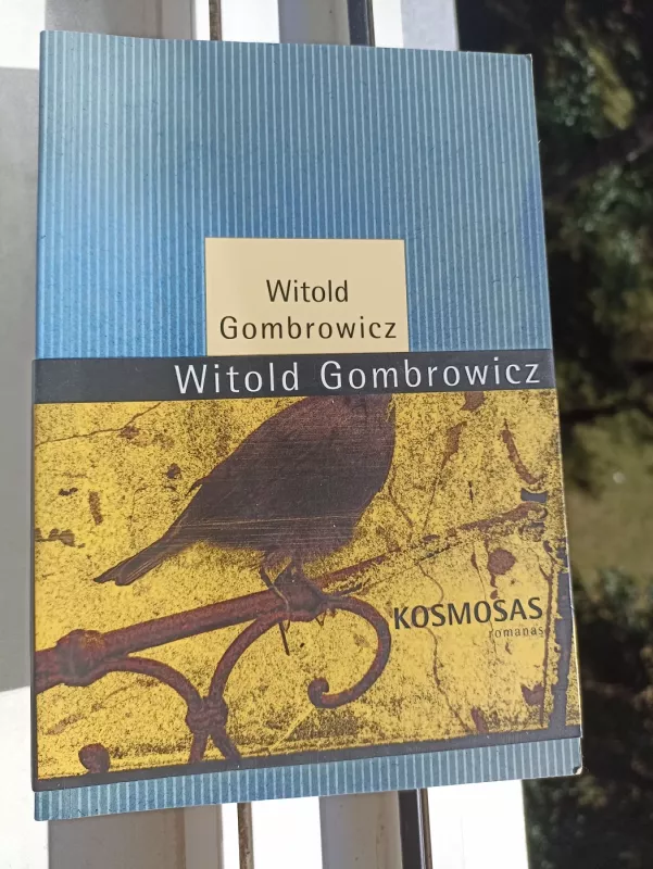 Kosmosas: [romanas] - Witold Gombrowicz, knyga 2