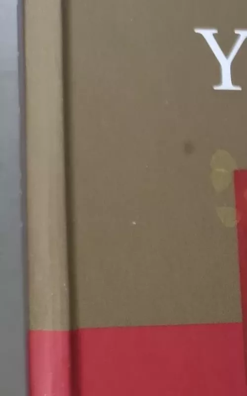 Meilės budelis ir kitos psichoterapinės istorijos - Irvin D. Yalom, knyga 2