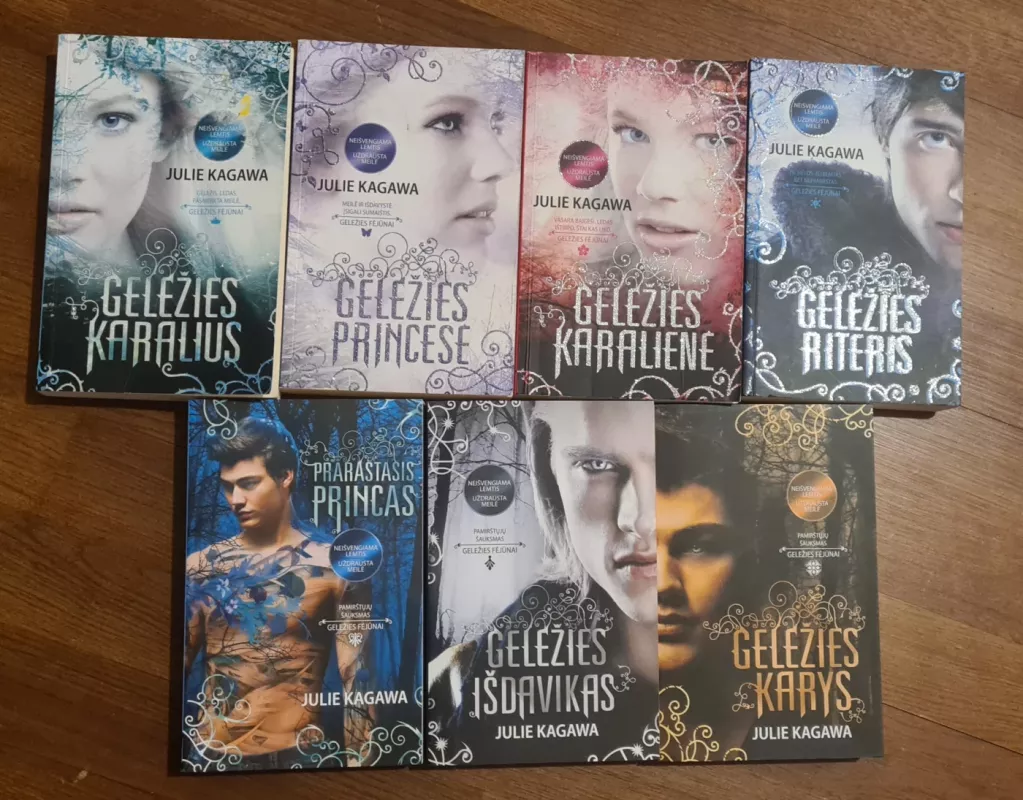 Komplektas "Geležies fėjūnai" - Kagawa Julie, knyga 2