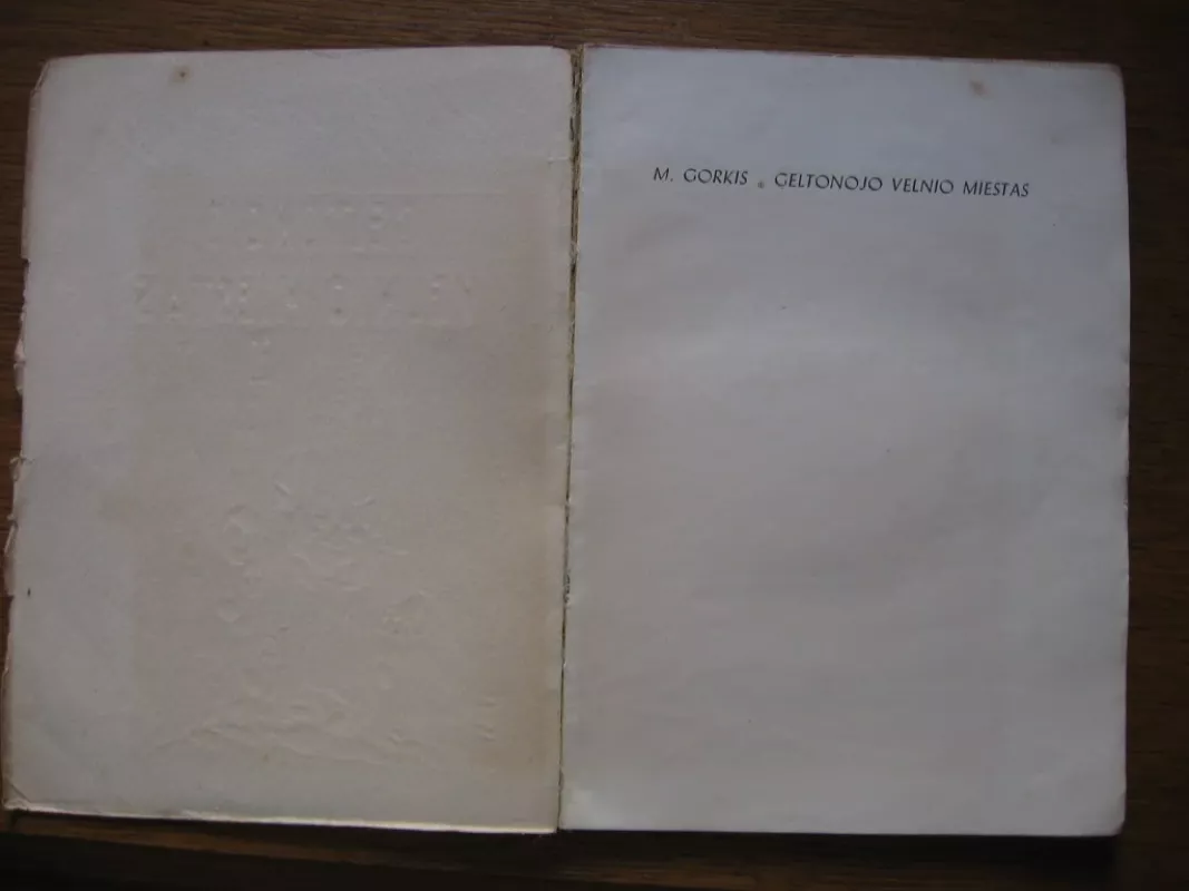 Geltonojo velnio miestas - M. Gorkis, knyga 3