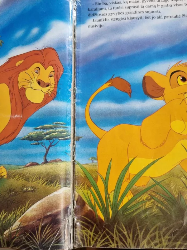 Liūtas karalius - Walt Disney, knyga 4