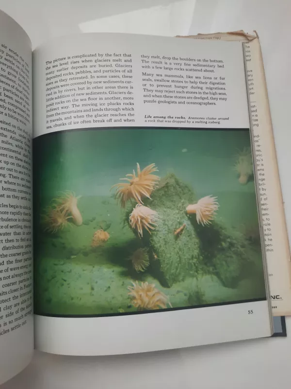 The Ocean World of Jacques Cousteau. Provinces of the Sea. - Autorių Kolektyvas, knyga 6