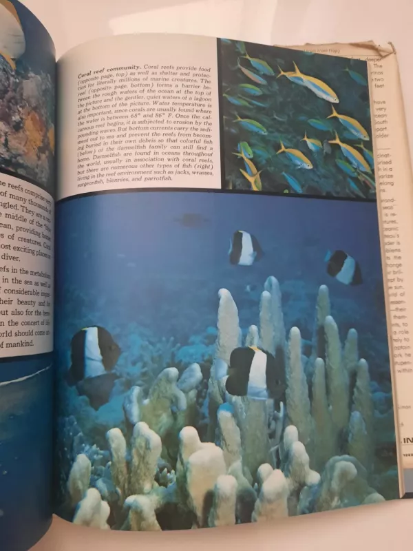 The Ocean World of Jacques Cousteau. Provinces of the Sea. - Autorių Kolektyvas, knyga 5