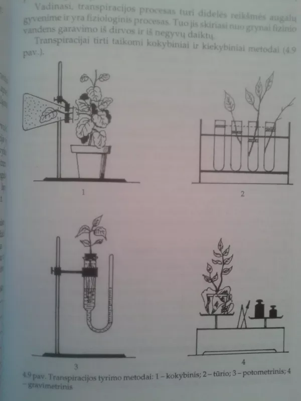 Augalų fiziologijos laboratoriniai ir lauko bandymai - Stasė Stašauskaitė, knyga 5
