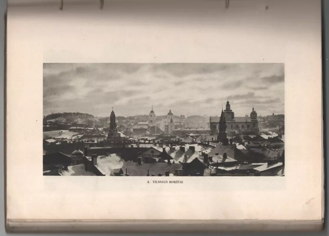 Vilniaus menas - Mikalojus Vorobjovas, knyga 5