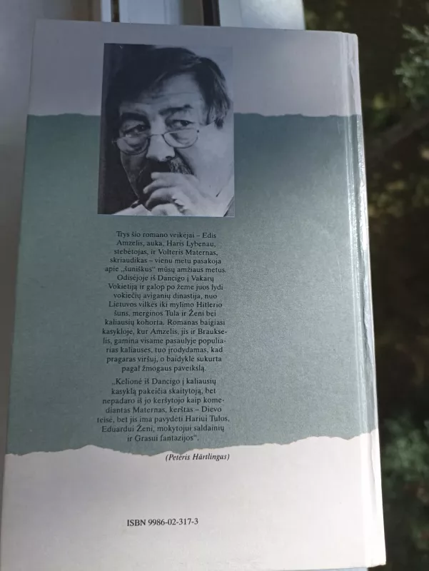 Šuniški metai: romanas - Gunter Grass, knyga 4