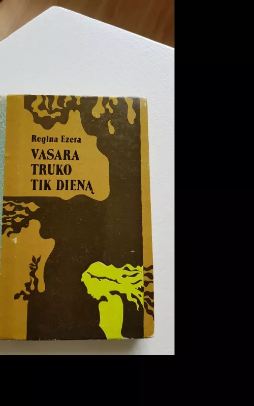 Vasara truko tik dieną - Regina Ezera, knyga 2