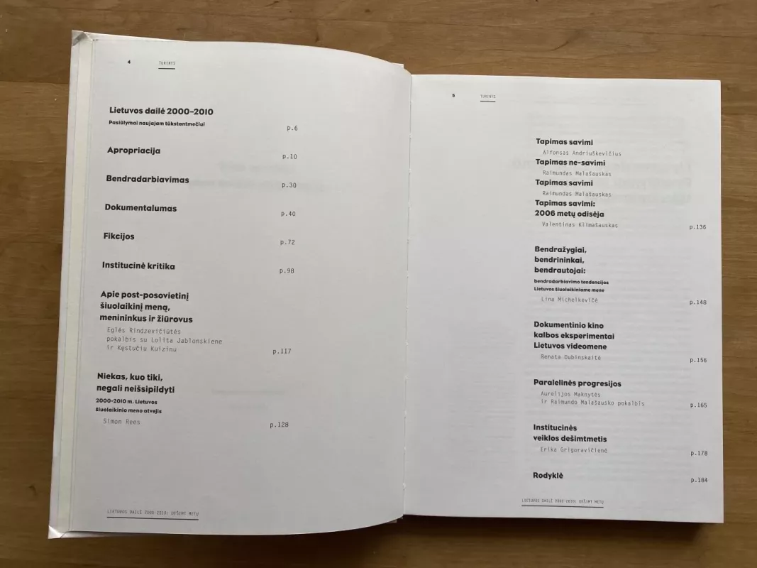 Lietuvos dailė 2000–2010: dešimt metų - Autorių Kolektyvas, knyga 3