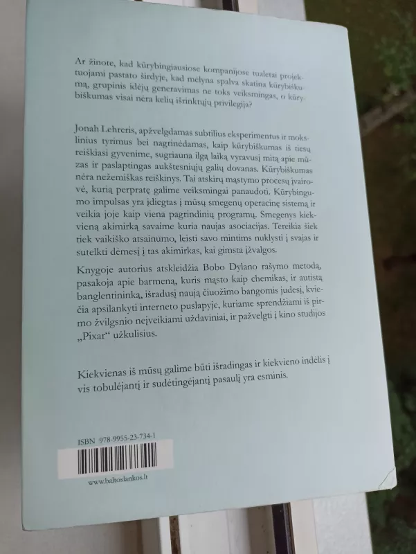 Vaizduotė: iš kur kyla kūrybiškumas - Jonah Lehrer, knyga 3