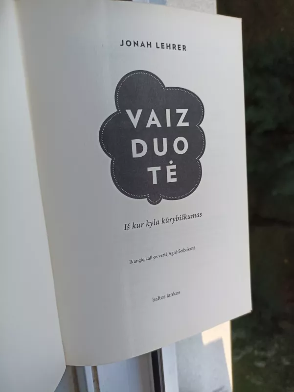 Vaizduotė: iš kur kyla kūrybiškumas - Jonah Lehrer, knyga 4