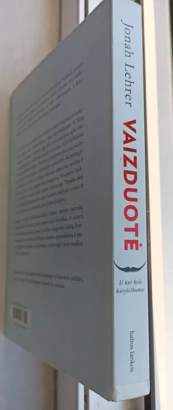 Vaizduotė: iš kur kyla kūrybiškumas - Jonah Lehrer, knyga 5