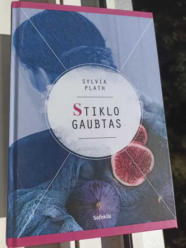 Stiklo gaubtas: romanas - Sylvia Plath, knyga 2