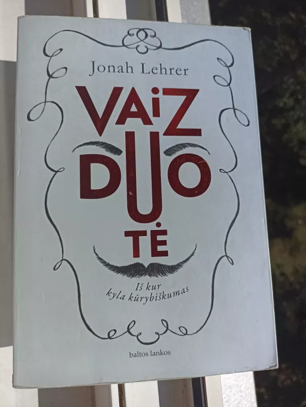 Vaizduotė: iš kur kyla kūrybiškumas - Jonah Lehrer, knyga 2