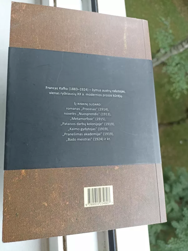 Procesas: romanas; Novelės - Franz Kafka, knyga 4