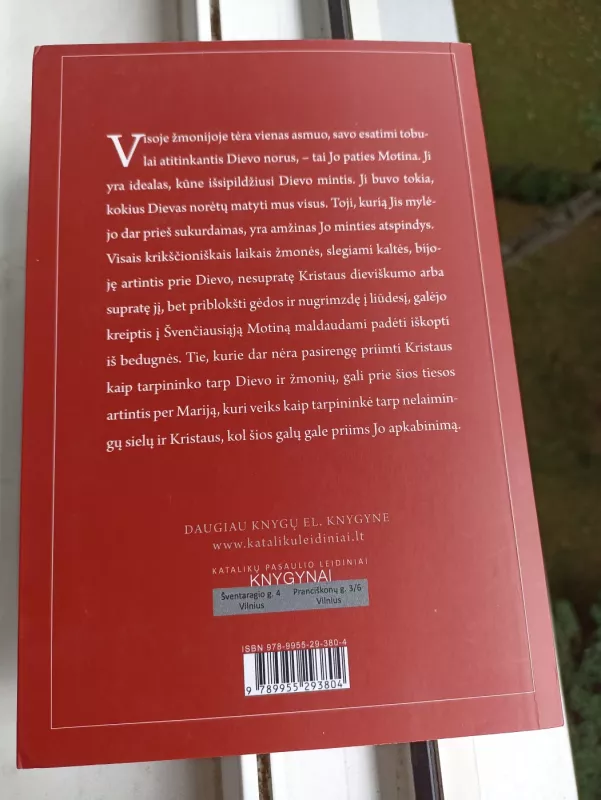 Pirmoji pasaulio meilė: Marija, Dievo Motina - Fulton J. Sheen, knyga 3