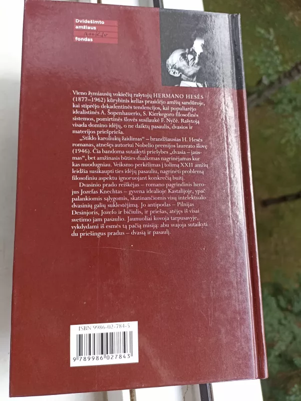 Stiklo karoliukų žaidimas: romanas - Hermann Hesse, knyga 4