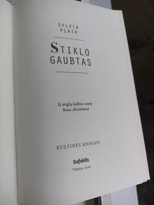 Stiklo gaubtas: romanas - Sylvia Plath, knyga 4
