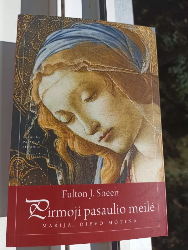 Pirmoji pasaulio meilė: Marija, Dievo Motina - Fulton J. Sheen, knyga 2