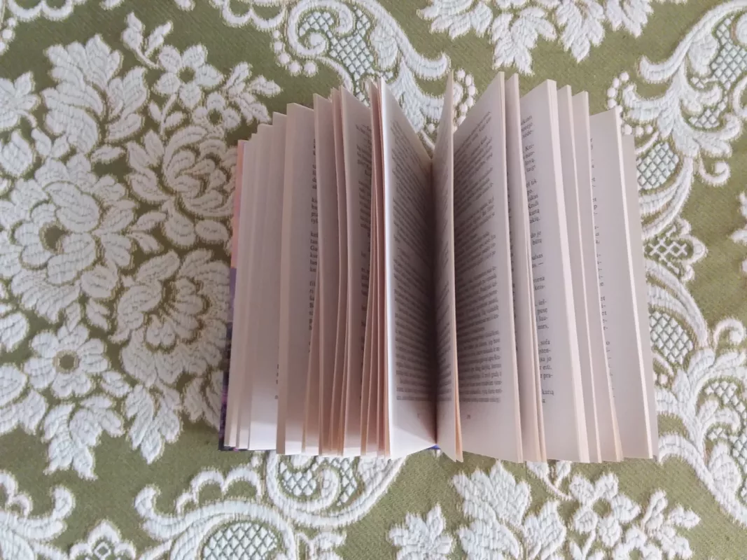 Legenda - Džudi Devero, knyga 3