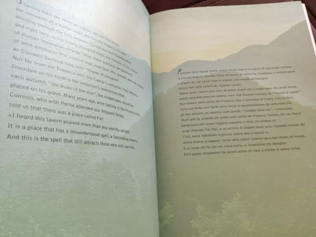 Divinicolli del Prosecco di Conegliano e Valdobbiadene - Autorių Kolektyvas, knyga 4