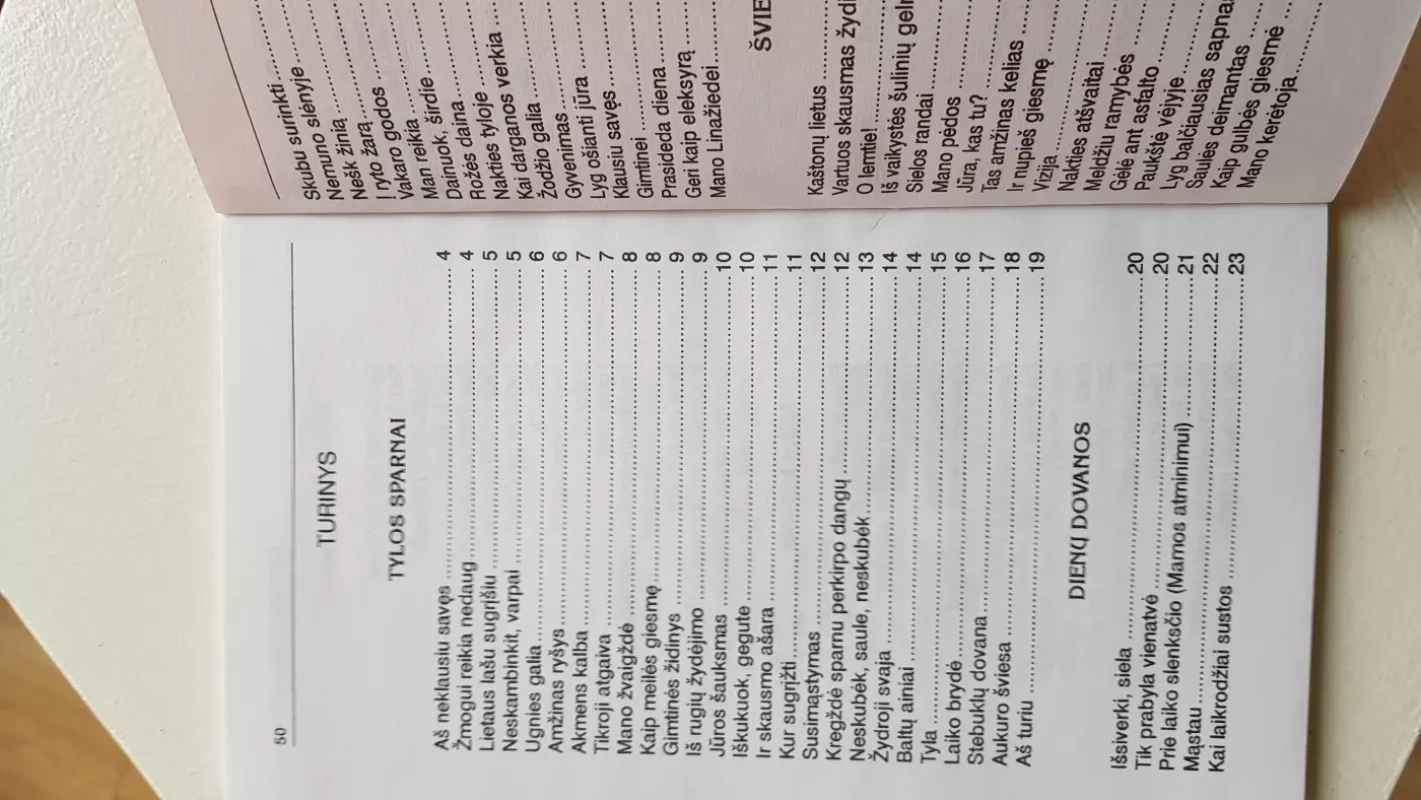 Išdegusi saulė - Danutė Andrijauskienė, knyga 3