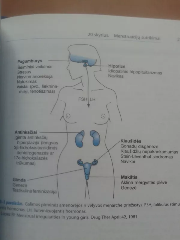 Dažniausių klinikinių simptomų diferencinė diagnostika - Autorių Kolektyvas, knyga 5