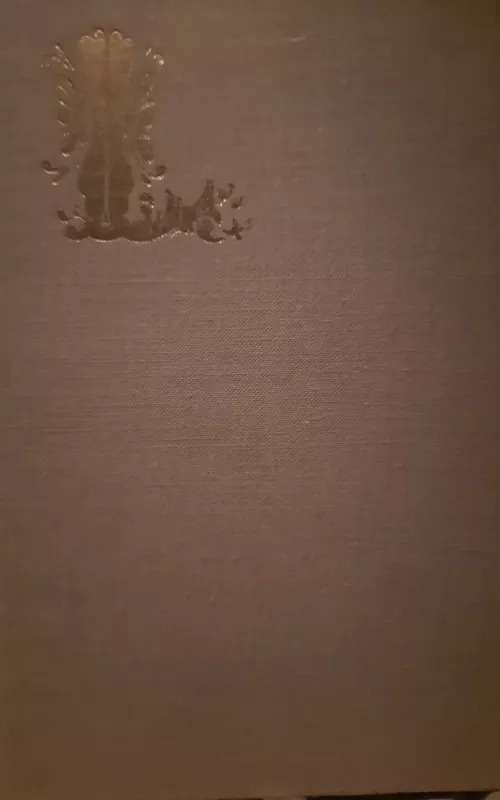 Mūsų laikų herojus - Michailas Lermontovas, knyga 2