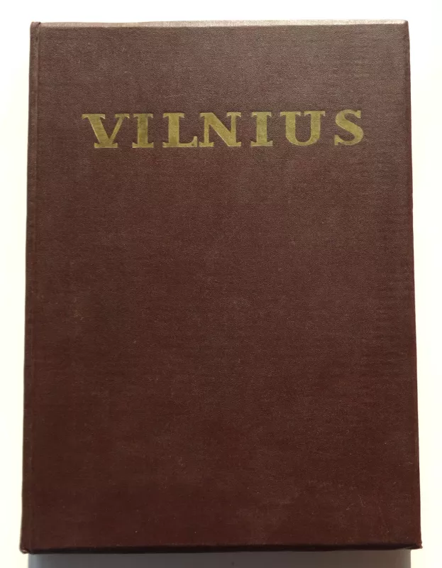 Vilnius. Architektūra iki XX amžiaus pradžios - Autorių Kolektyvas, knyga 2