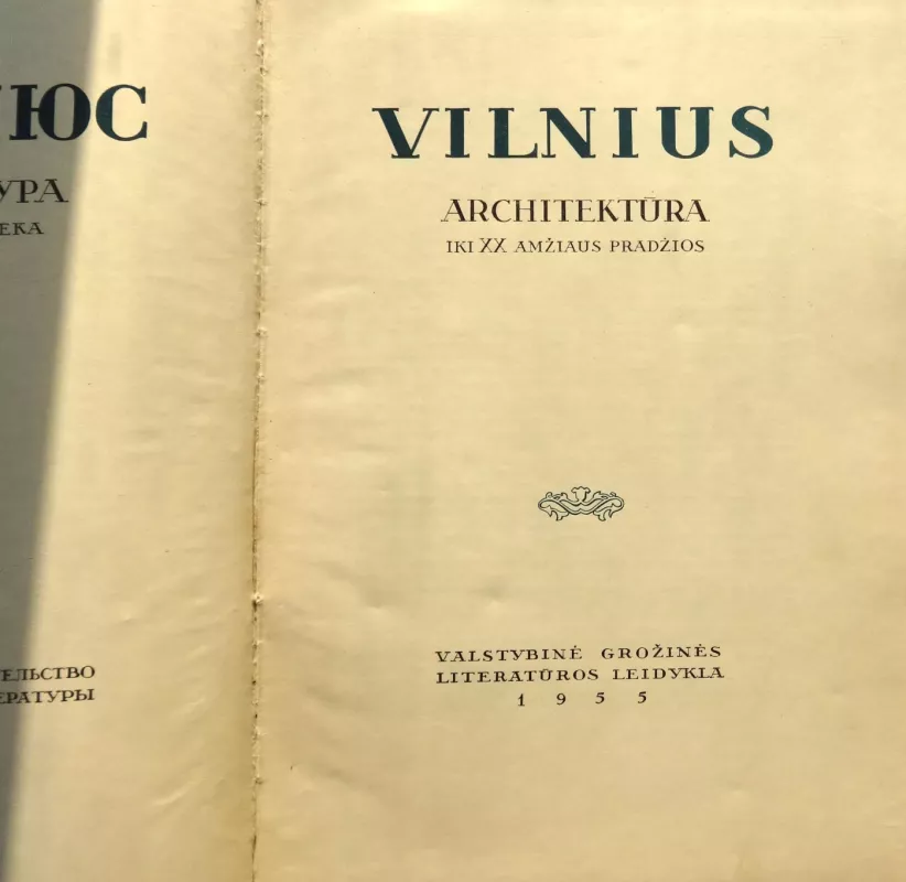 Vilnius. Architektūra iki XX amžiaus pradžios - Autorių Kolektyvas, knyga 3