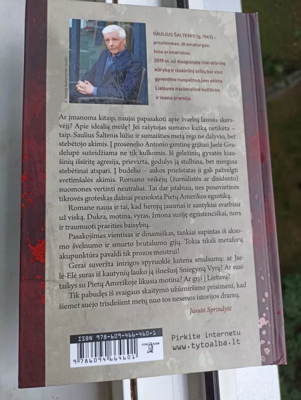 Geležiniai gyvatės kiaušiniai: romanas - Saulius Šaltenis, knyga 3