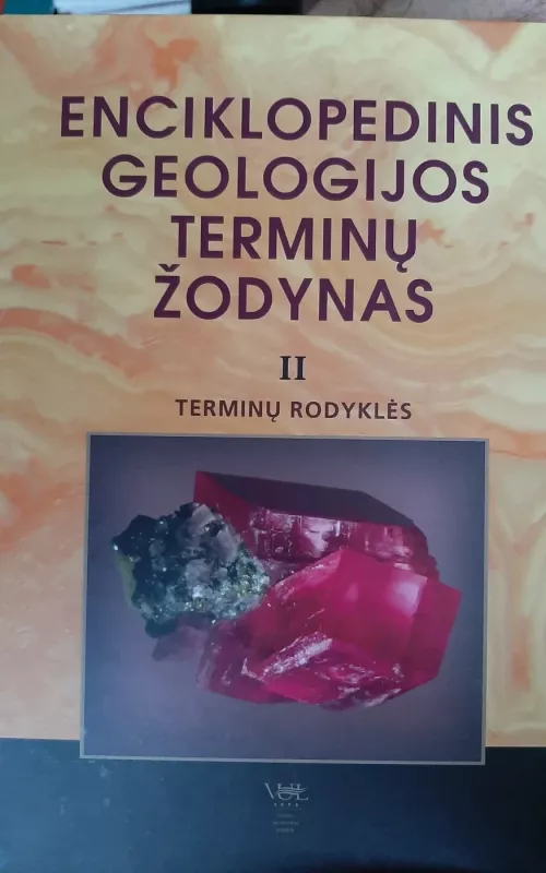 Enciklopedinis geologijos terminų žodynas (II tomas) - Autorių Kolektyvas, knyga